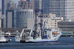 Dcim7658/DSC_7877
