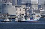 Dcim7658/DSC_7878