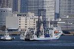 Dcim7658/DSC_7879