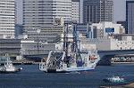 Dcim7658/DSC_7882