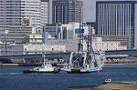 Dcim7659/DSC_7884