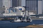 Dcim7659/DSC_7886