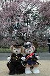Dcim7661/DSC_3773