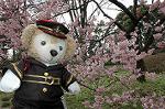 Dcim7661/DSC_3779