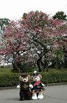 Dcim7661/DSC_3827