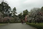 Dcim7661/DSC_3848