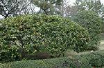 Dcim7661/DSC_3849