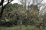 Dcim7661/DSC_3851