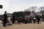 Dcim7662/DSC_7998