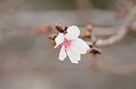Dcim7662/DSC_8084