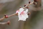 Dcim7662/DSC_8085