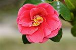 Dcim7663/DSC_8171