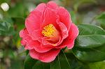 Dcim7663/DSC_8172
