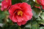 Dcim7663/DSC_8176