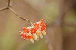 Dcim7663/DSC_8227