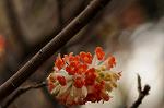 Dcim7663/DSC_8236