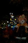 Dcim7667/DSC_3996