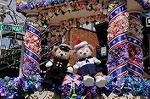 Dcim7669/DSC_8486