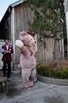 Dcim7669/DSC_8562