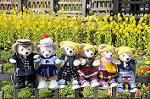 Dcim7670/DSC_8648