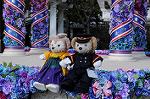 Dcim7671/DSC_8749
