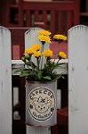 Dcim7681/DSC_9816
