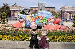 Dcim7682/DSC_9930