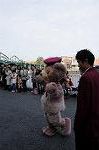 Dcim7683/DSC_0111
