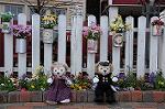 Dcim7684/DSC_0189