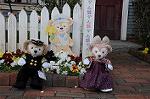 Dcim7684/DSC_0197