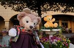 Dcim7684/DSC_0228
