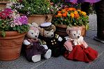 Dcim7684/DSC_0229