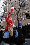 Dcim7686/DSC_0295