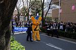 Dcim7686/DSC_0297