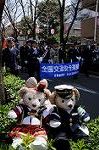 Dcim7686/DSC_0301