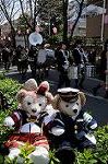 Dcim7686/DSC_0312