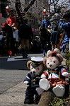 Dcim7686/DSC_0334