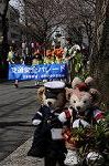 Dcim7687/DSC_0447