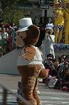 Dcim7688/DSC_4302