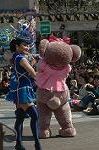 Dcim7688/DSC_4324