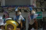 Dcim7689/DSC_4331