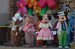 Dcim7691/DSC_4593