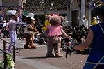 Dcim7693/DSC_0616