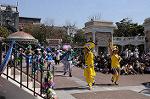 Dcim7693/DSC_0627