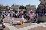 Dcim7693/DSC_0654