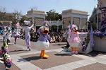 Dcim7693/DSC_0655