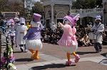 Dcim7693/DSC_0660
