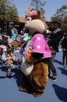 Dcim7694/DSC_0715