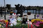 Dcim7700/DSC_1569