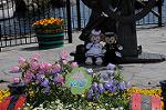 Dcim7701/DSC_1580